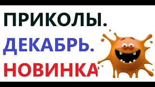 Приколы ДЕКАБРЬ 2018. НОВИНКА .