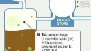 Biogas: how it works