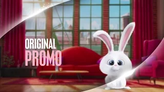 [fanmade]  DC RU - Promo - The Secret Life of Pets - Snowball