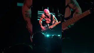 Red Hot Chili Peppers - Intro Jam + Around the World @Tokyo Dome, Tokyo, Japan Live 20/5/2024