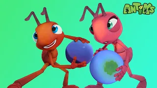 Trick Shots | 🐛 Antiks & Insectibles 🐜 | Funny Cartoons for Kids | Moonbug