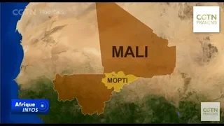 Plus de 100 morts dans l'attaque d'un village au centre du Mali