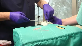 Total Arch Replacement Procedure with the Getinge Thoracic Simulator