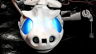 9 Amazing Robotic Animals You Must See