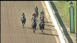 Laurel Park 11 26 2020 Race 3