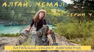 Altai secret of masculine power and health!)) Chemal. HPP. Patmos. 4 series!