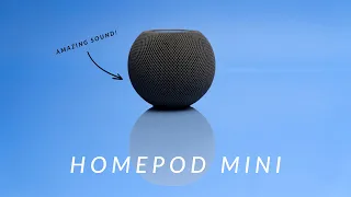 HomePod Mini Review - Small & Mighty!