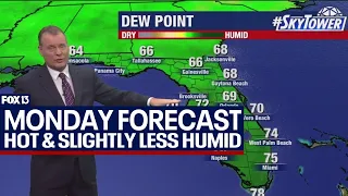 Tampa weather | Still hot, slightly less humid