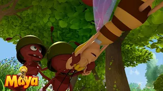 The biggest disaster - Maya the bee🐝🍯🐝