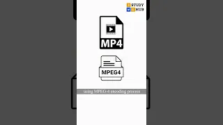 Popular Video File Formats | Full Details- MP4, AVI, MOV WMV