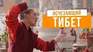 Я познакомился с живым Буддой! Как люди живут в тибетских монастырях. Тибет.