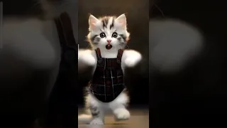 #cute #cat #catdance #dance #funny #viral#ytshorts #shorts