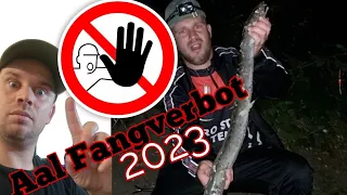 Aal Fangverbot 2023 Catch & Cook Folge Aale Tag & Nacht S8 F1 #angeln #aal #eel #fishing #outdoor