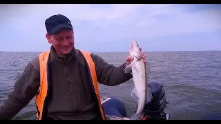 Рыбалка без рыбы но с хорошим настроением. 19.04.2023 п. Щукино Калининградская область.