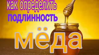 пчеловодство-КАК ОПРЕДЕЛИТЬ ПОДЛИННОСТЬ МЁДА/ качество мёда/bee-animals, honey