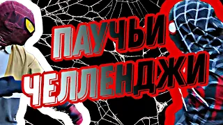 🕸ПАУЧЬИ ЧЕЛЛЕНДЖИ #1❤