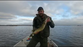 Babītes ezera līdakas | Shallow lake fishing in Babīte [6 NOV, 2022]