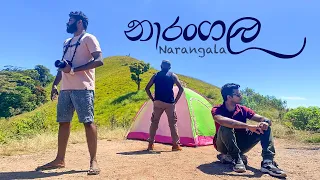 Easiest Mountain Hike in Sri lanka | Narangala Trekking & Camping Night