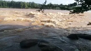 🇬🇾Guyana cuyuni river