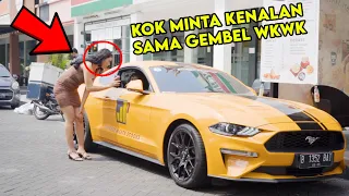 GEMBEL KELAPARAN INI AWALNYA DI REMEHKAN !!? Lihat Akhirnya....