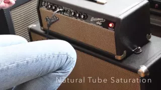 1966 Fender Bassman ----  Gibson Les Paul Special Historic