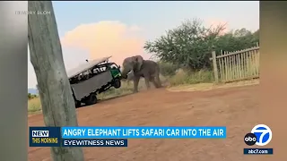 Aggressive elephant lifts safari car filled with tourists into the air in South Africa