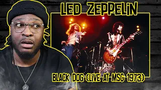 Led Zeppelin - Black Dog (Live at MSG 1973) REACTION/REVIEW