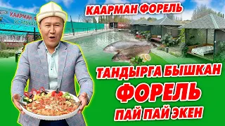 Ой Боой ТАНДЫР ФОРЕЛЬ жедиңиз беле? ~ Каарман ФОРЕЛГЕ барыңыз ѲЗГѲЧѲ даамдар сизди күтѳт