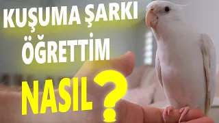 DİNLET ÖTSÜN Sultan Papağanım Şarkı Söylüyor NASIL?