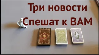 Таро. Ленорман. Какие три новости спешат к Вам, Узнай прямо сейчас! Гадание онлайн