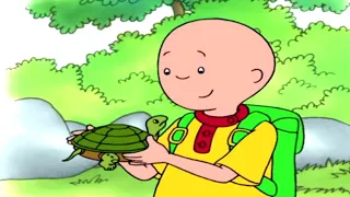 Caillou és a külső kaland | Caillou Magyarul - WildBrain