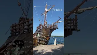 Nao Trinidad Spanish-built replica tall ship #shortsvideo #shorts #tallships #replica