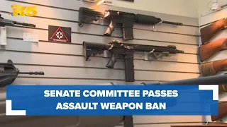 Senate committee passes bill banning sale of assault weapons in Washington