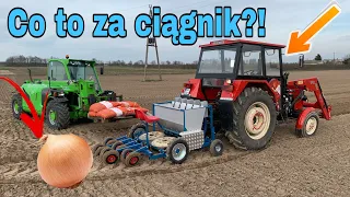 #310- Sadzenie cebuli z dymki! Tata uprawia! Słomek sadzi Ursusem c360.