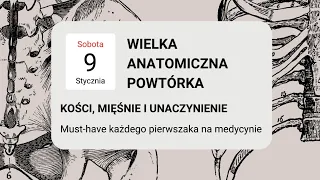 WIELKA ANATOMICZNA POWTÓRKA - kości, mięśnie i unaczynienie