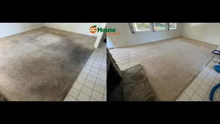 Carpet Cleaning of Rat Nasty Carpets! Really really bad smell too!