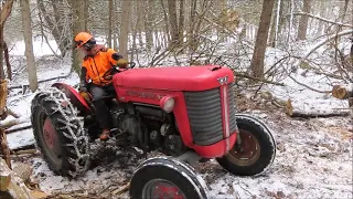 Working in the Cedar Bush with the Massey.