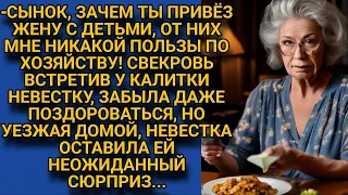 -Сынок, зачем ты мне привёз этих бездельников! Свекровь нехотя впустила невестку в дом, но...