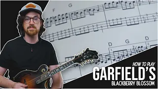 How to Play "Garfield's Blackberry Blossom" /// Mandolin Lesson (Intermediate)