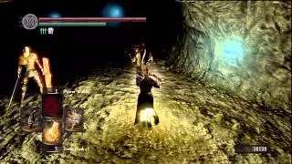 Dark Souls - Catacombs to Nito speedrun