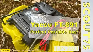 Yaesu 891 Perfect Portable Rig?