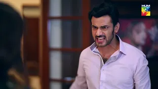 Mein Tumhe Talaq Deta Hun... Dil E Jaanam - HUM TV