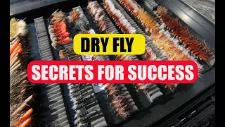 Dry Fly The Secrets To Success!