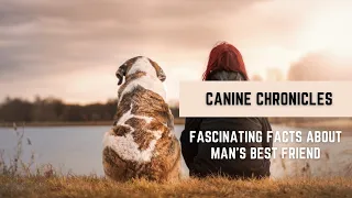 Canine Chronicles: Fascinating Facts About Man's Best Friend