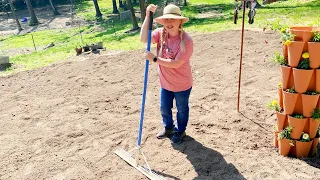 Massive Homestead Lasagna Garden Build!!