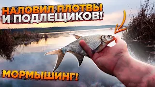 Как поймать плотву на спиннинг! Мормышинг! Подлещики бонусом!