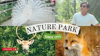 NATURE PARK | SINCE 1971 | WILD PARK |HUNDSHAUPTEN | GERMANY 🇩🇪