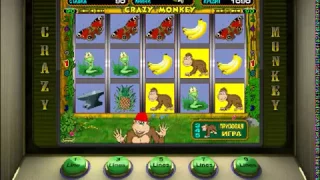 Стратегия игры на игровом автомате Crazy Monkey Обезьянка