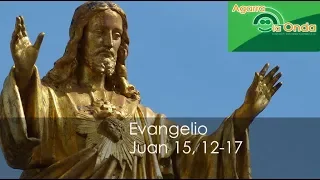 24 Mayo 2019-Viernes 5º de Pascua-Jn 15, 12-17-Amigos de Jesús.