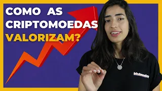 COMO e POR QUE as criptomoedas VALORIZAM ?